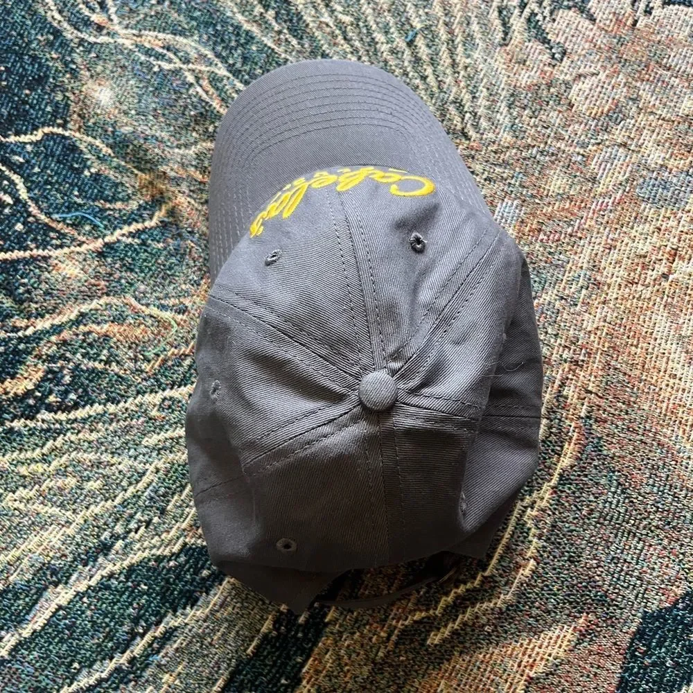 Vintage Cabela's Dark Gray Cap with Gold Embroidery Fishing Hunting Hat SnapBack